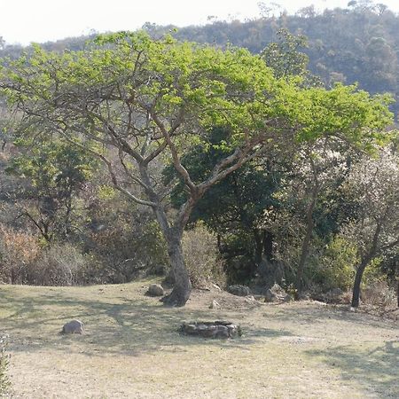 Muluwa Lodge ホワイトリバー エクステリア 写真