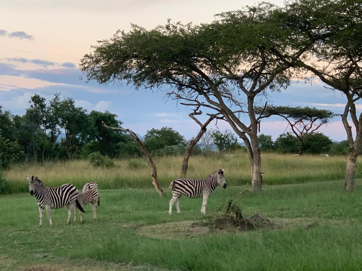 Muluwa Lodge ホワイトリバー エクステリア 写真