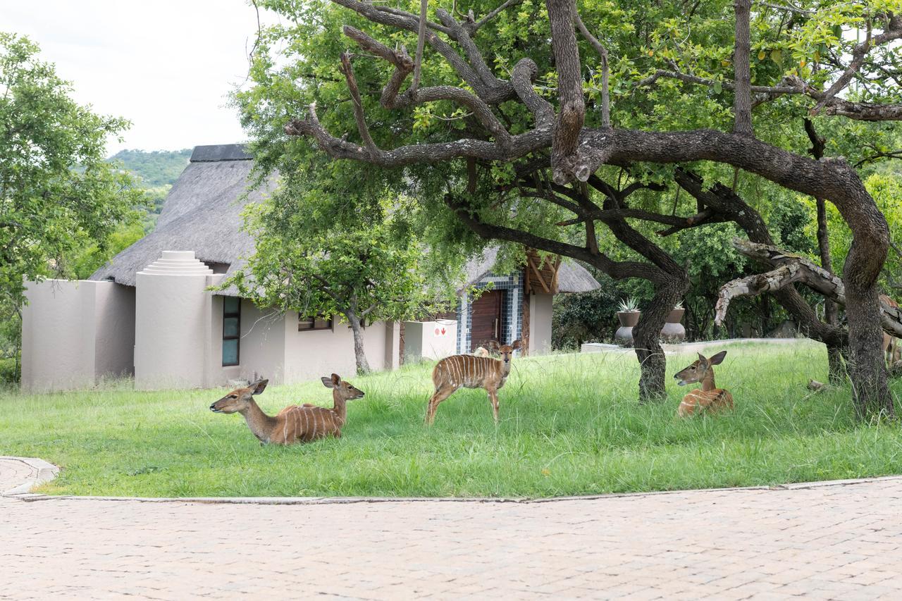 Muluwa Lodge ホワイトリバー エクステリア 写真